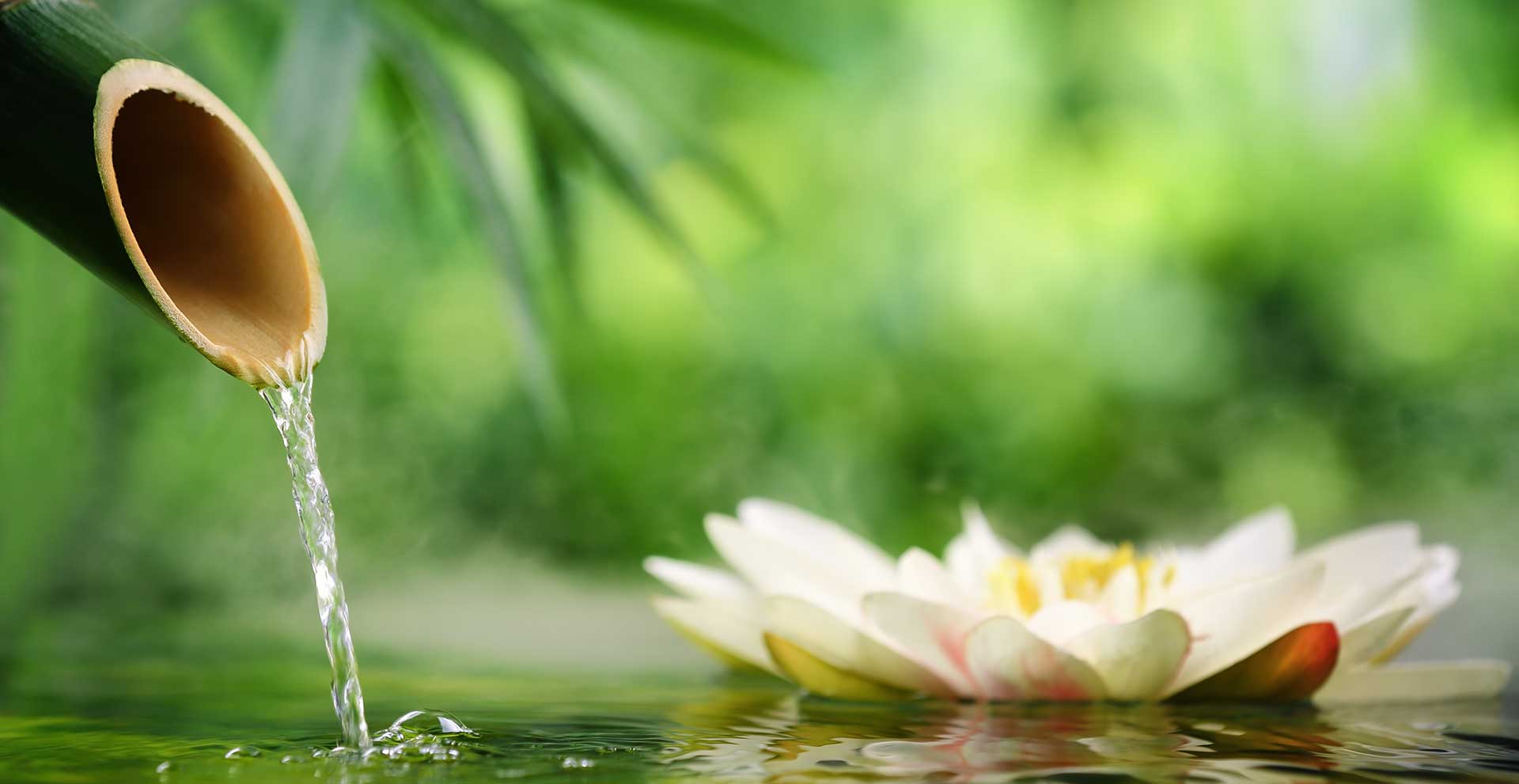 water running through bamboo with lotus flower